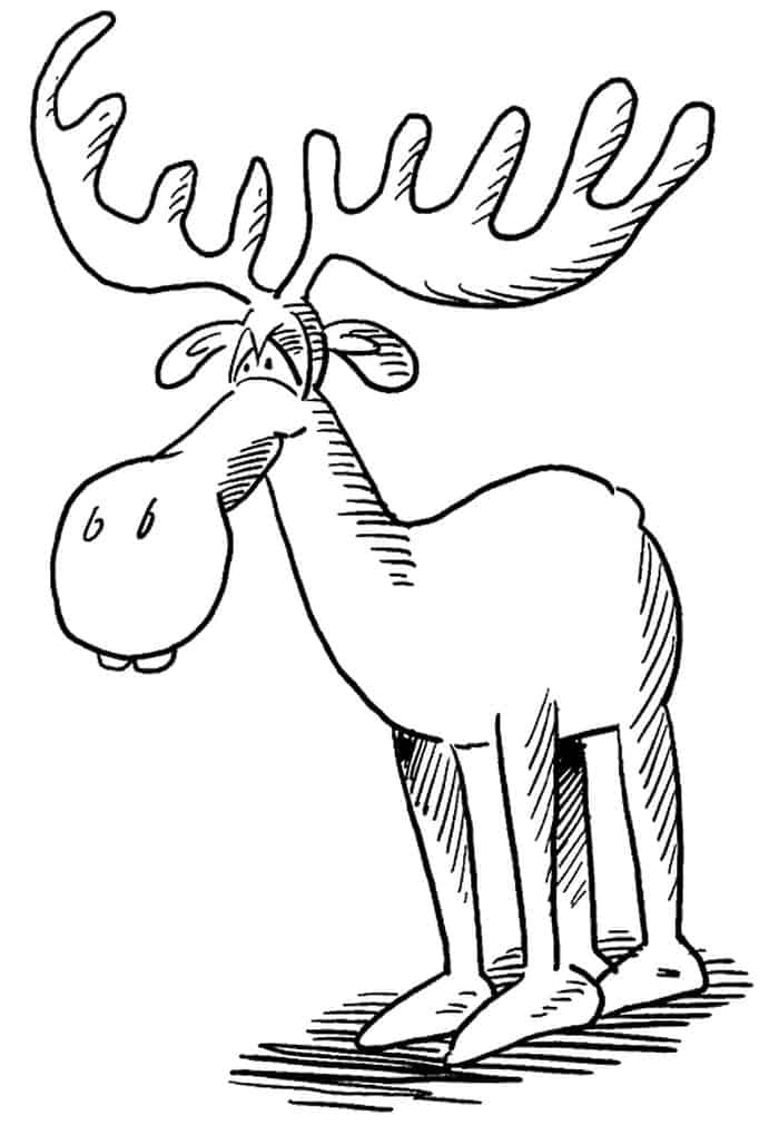 Maine State Symbolsmoose Coloring Pages