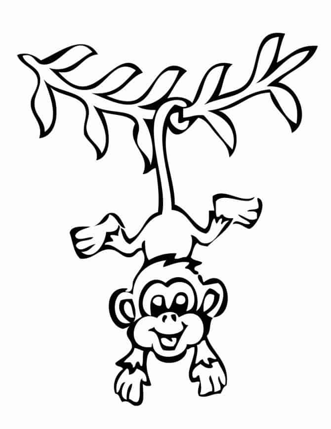 Monkey Coloring Pages Free