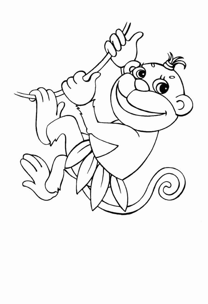 Monkey Coloring Pages for Girls