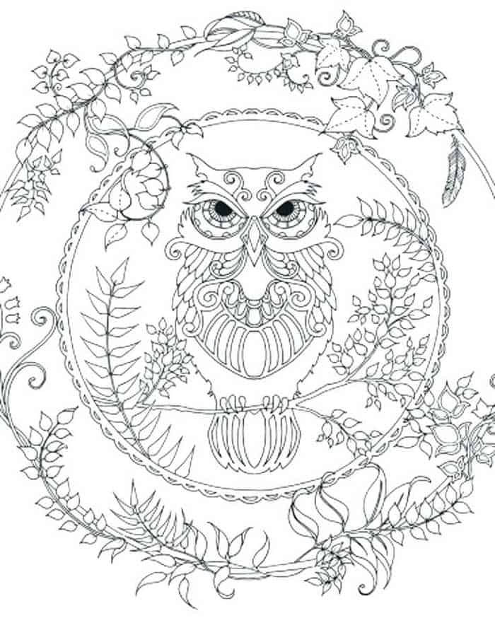 Owl Coloring Page For Adults