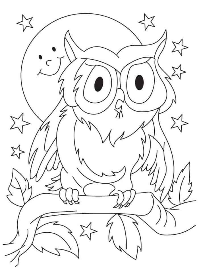 Owl Design Coloring Pages