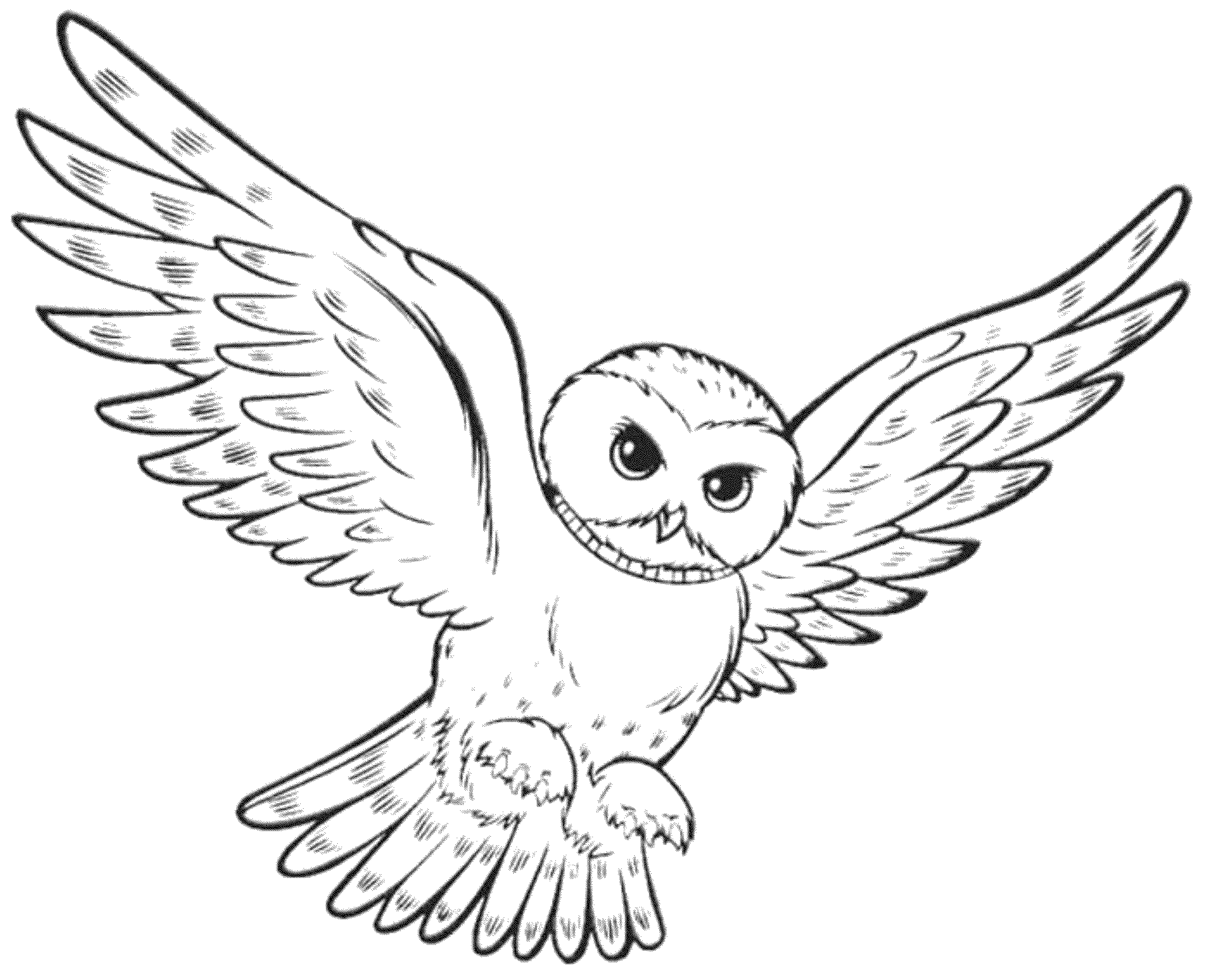 Owl Free Coloring Pages