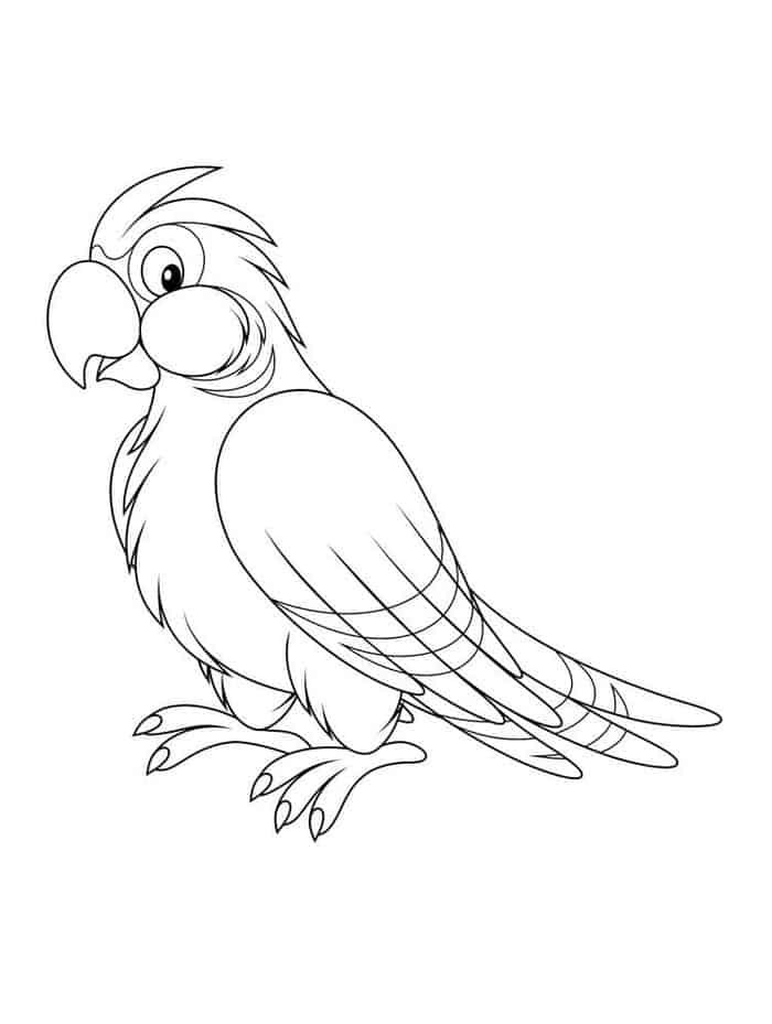 Parrot Coloring Pages Free