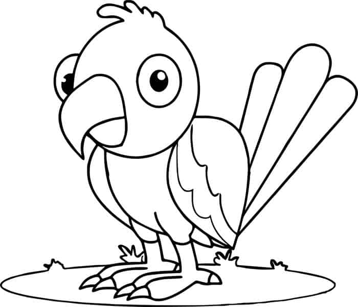 Parrot Coloring Pages Simple