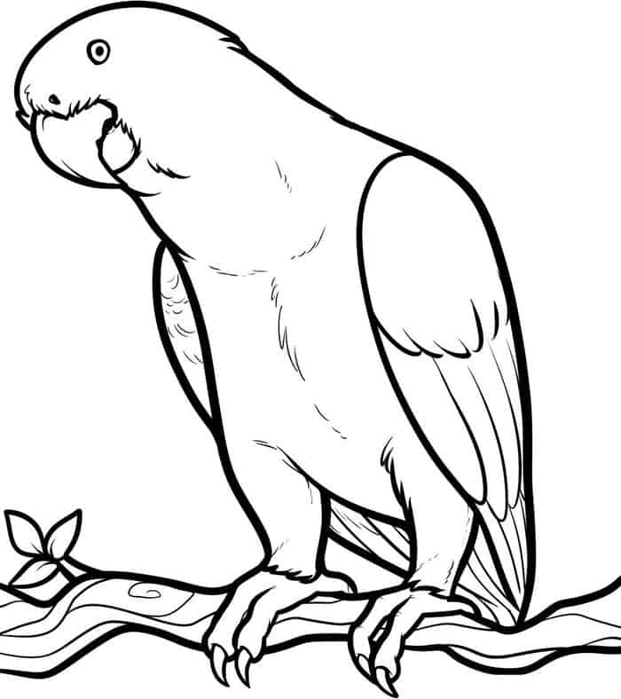 Parrot Coloring Pages To Print