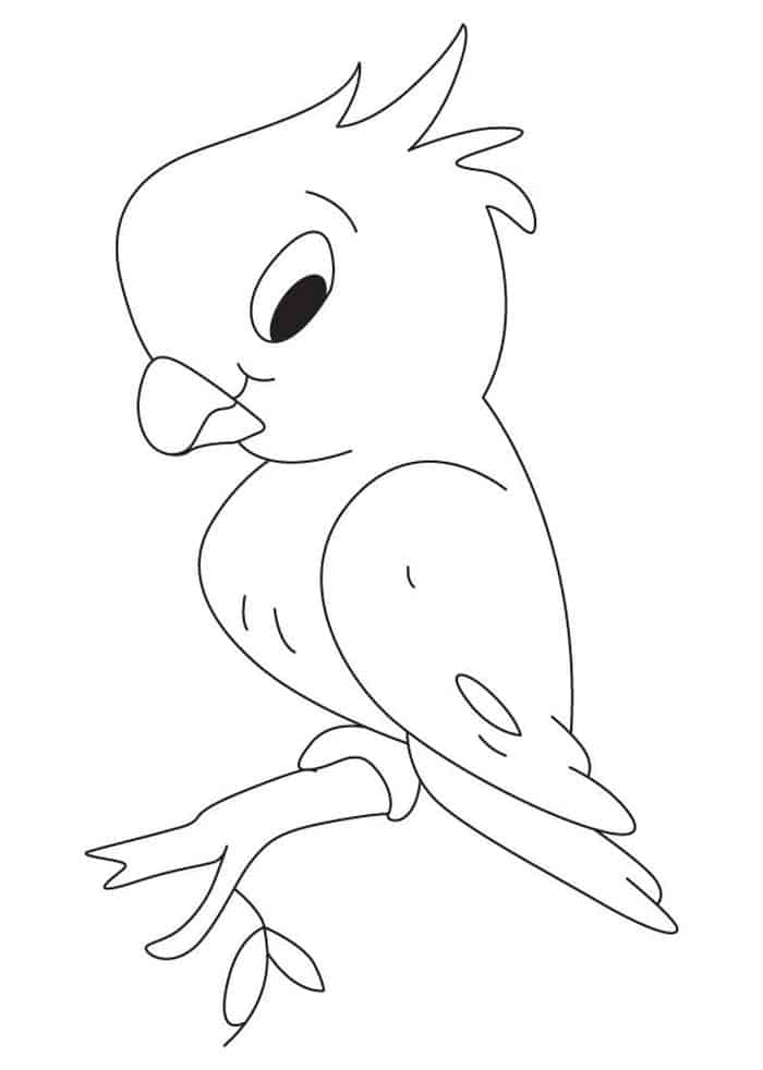 Parrot Difficult Coloring Pages