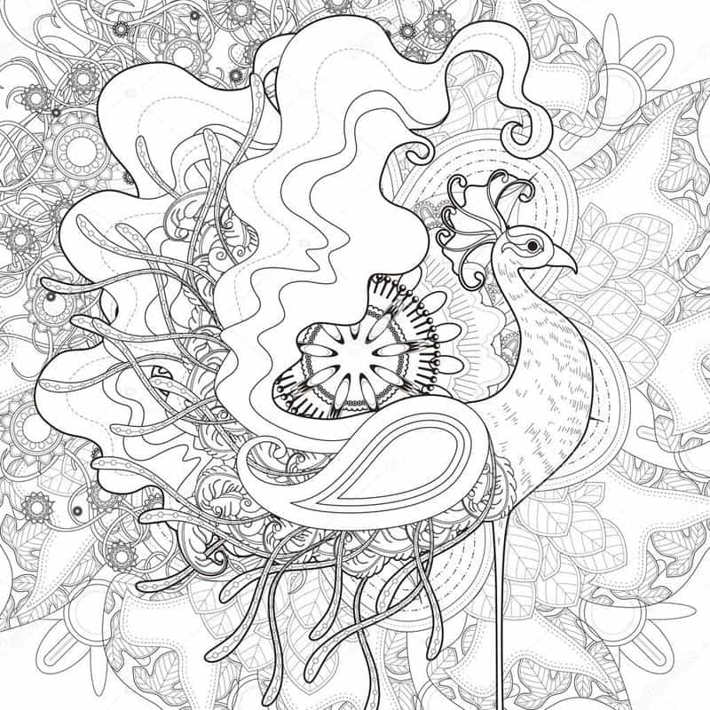 Peacock Coloring Pages For Kids Animals