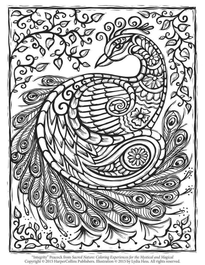Peacock Coloring Pages Realistic
