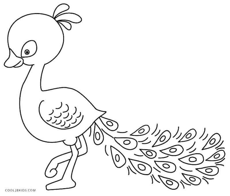 Peacock Coloring Pages Standing