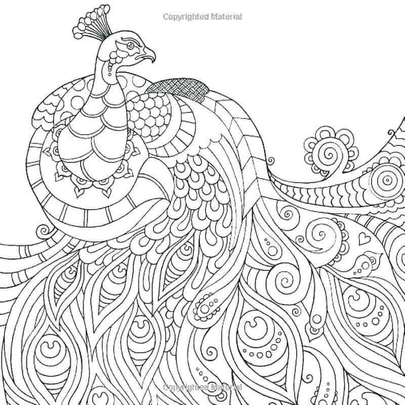 Peacock Mandala Coloring Pages