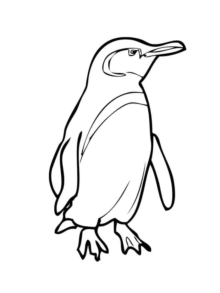 Penguin Coloring Pages For Adults