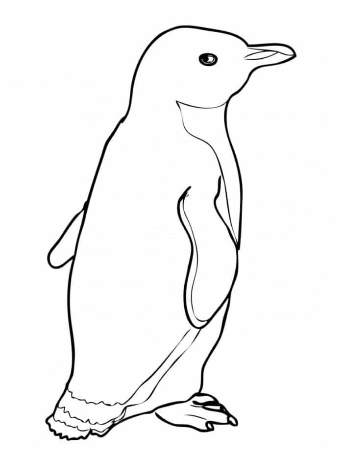 Penguin Coloring Pages To Print