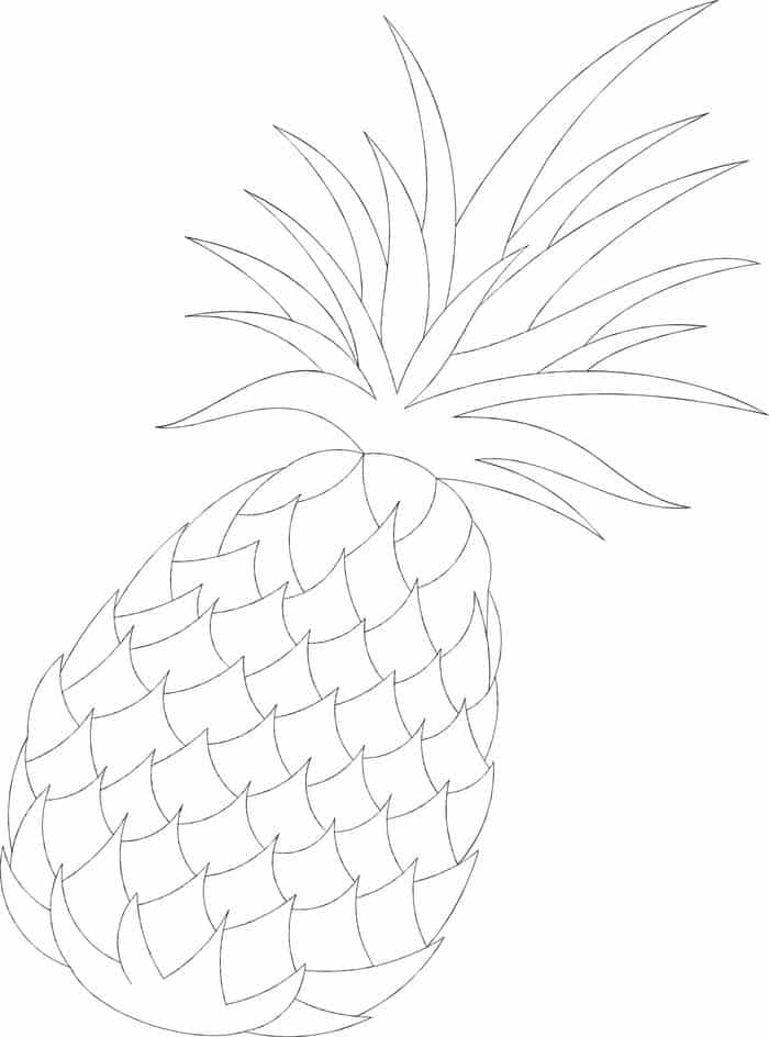 Pineapple Clipart Coloring Pages