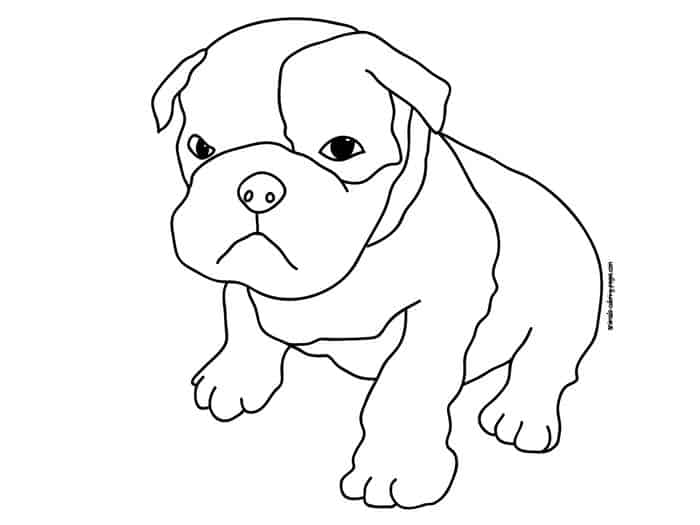 Pitbull Puppy Coloring Pages