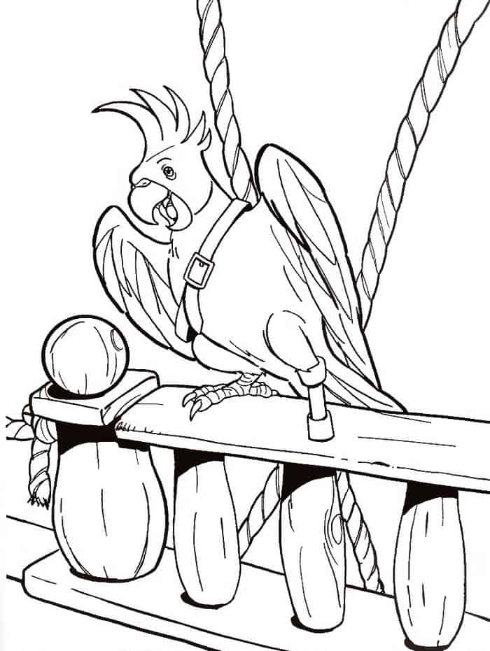 Pittsburgh Pirates Parrot Coloring Pages