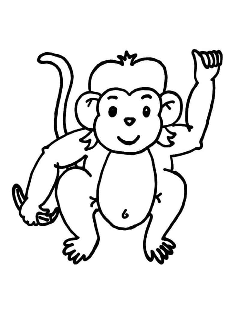 Printable Adult Coloring Book Pages Monkey