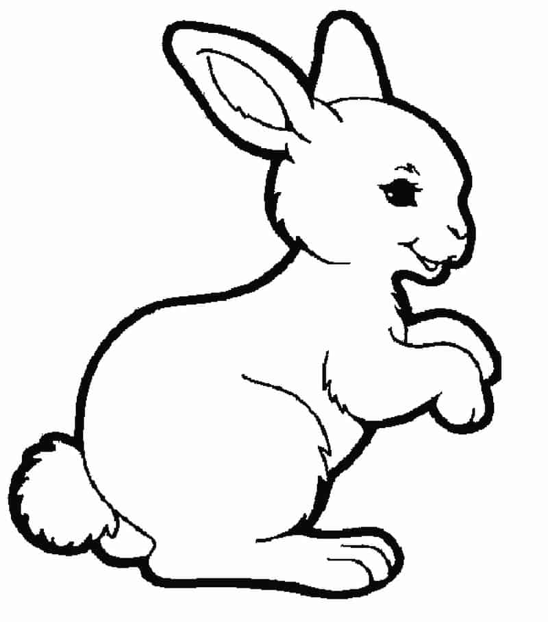 Printable Bunny Coloring Page