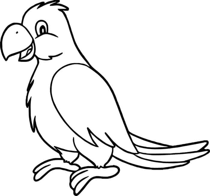 Printable Coloring Pages Parrot