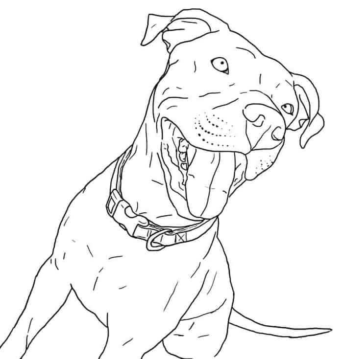Puppies Coloring Pages Girl Pitbull