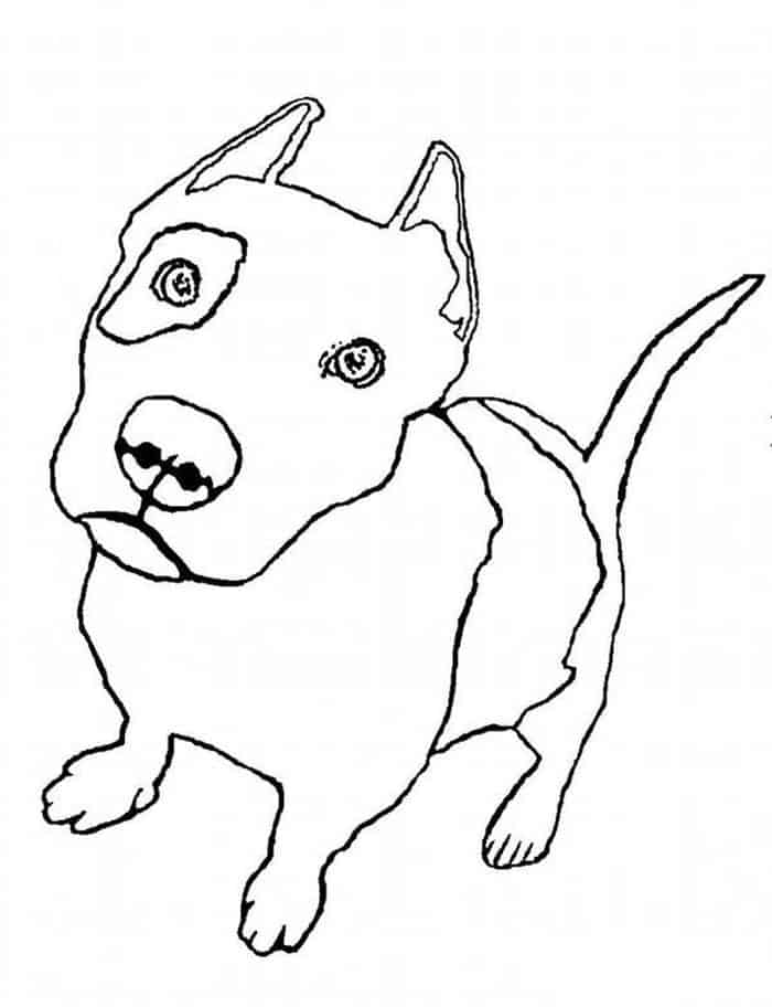 Realistic Baby Pitbull Coloring Pages