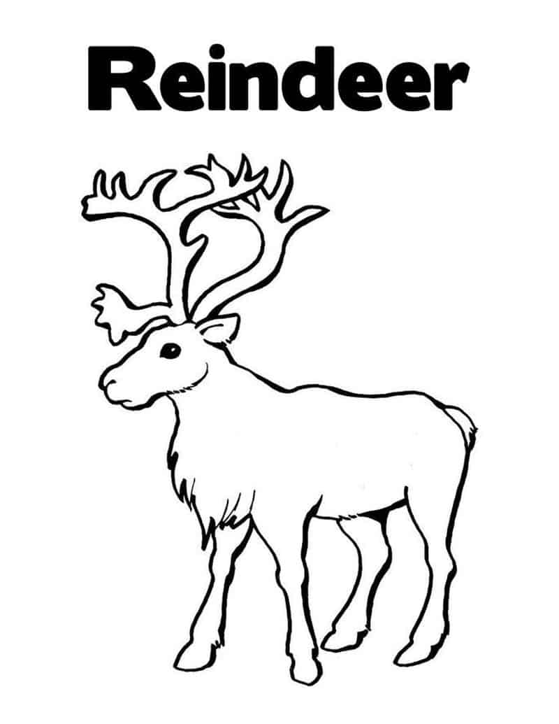 Rudolph The Red Nosed Reindeer Coloring Pages To Print
