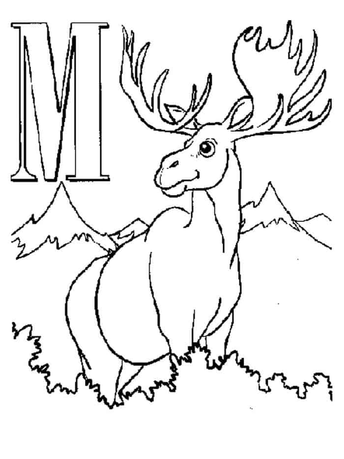Summer Moose Coloring Pages