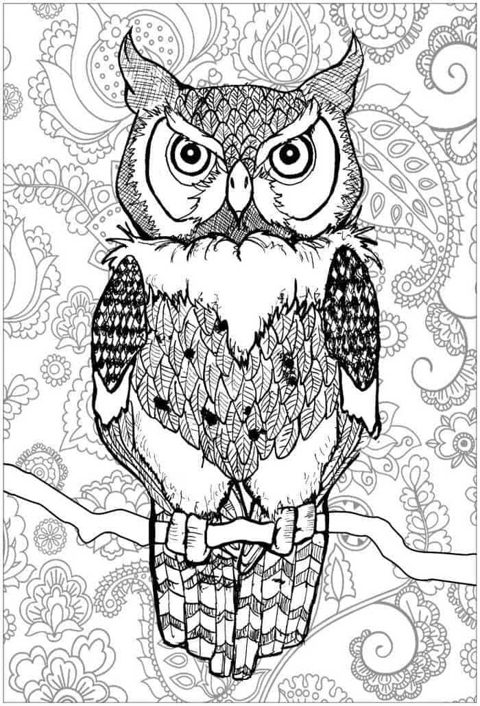 Wise Owl Coloring Page