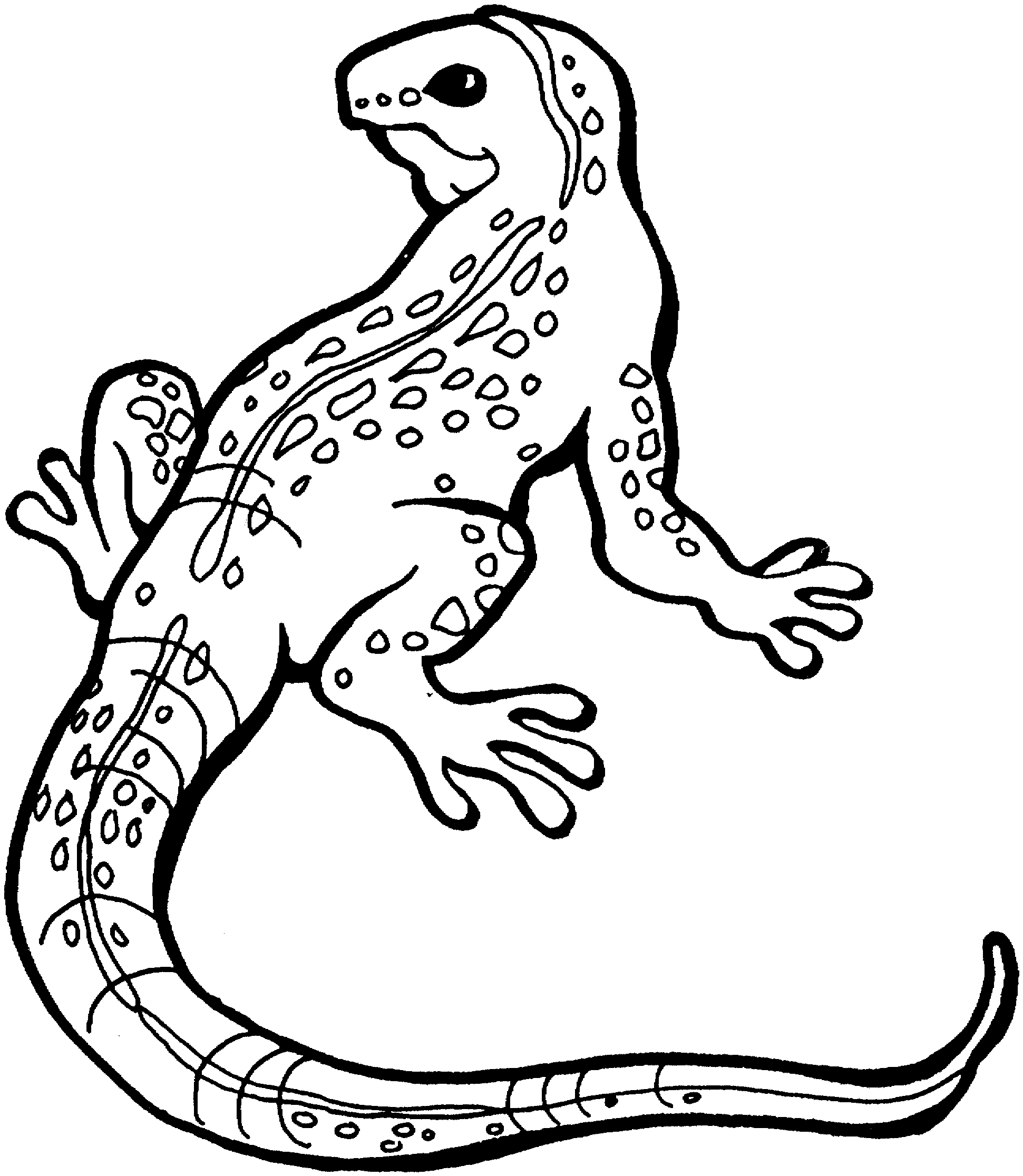 Amphibian-Coloring-Pages-For-Kids