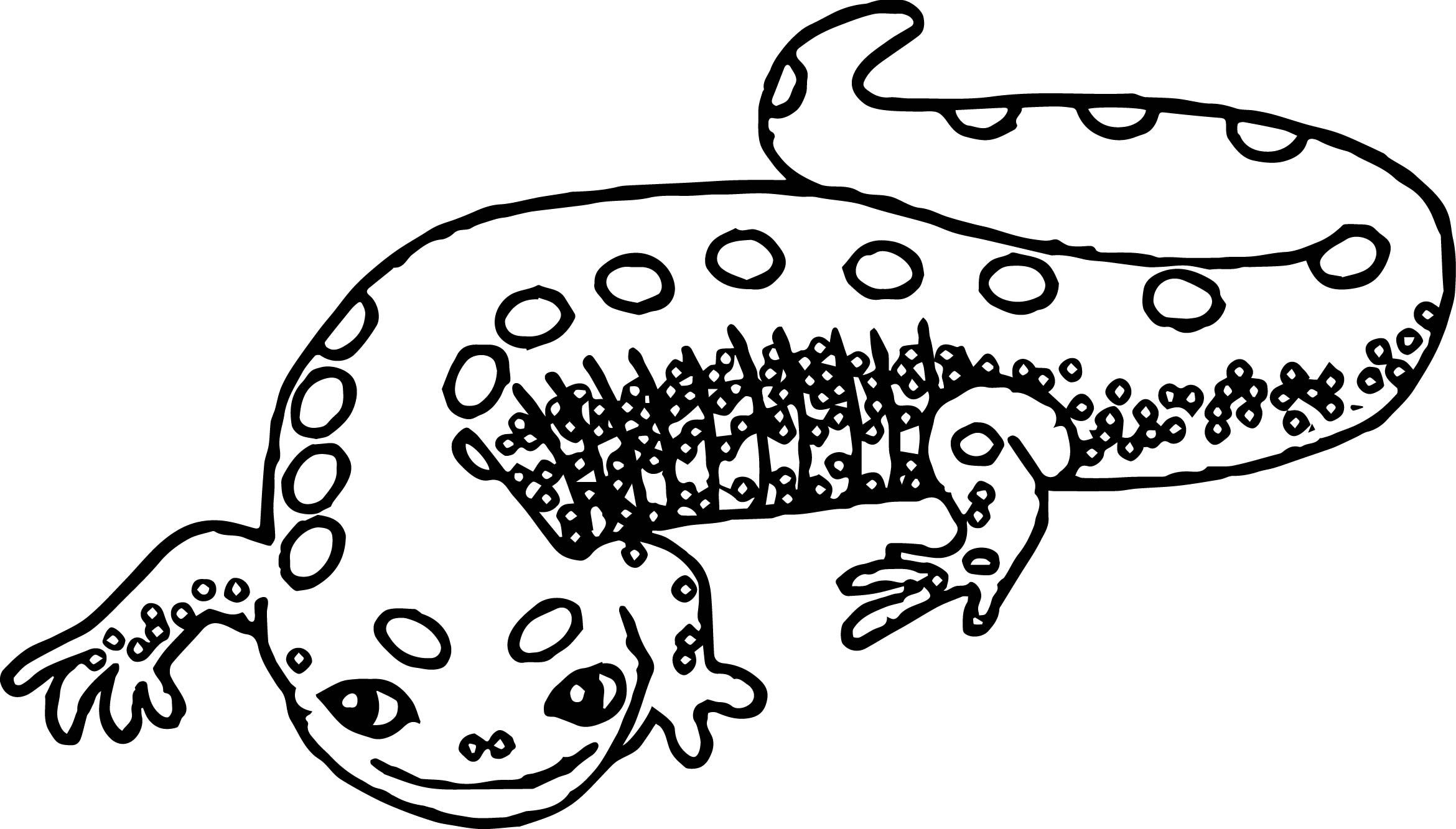 Amphibian-Coloring-Pages