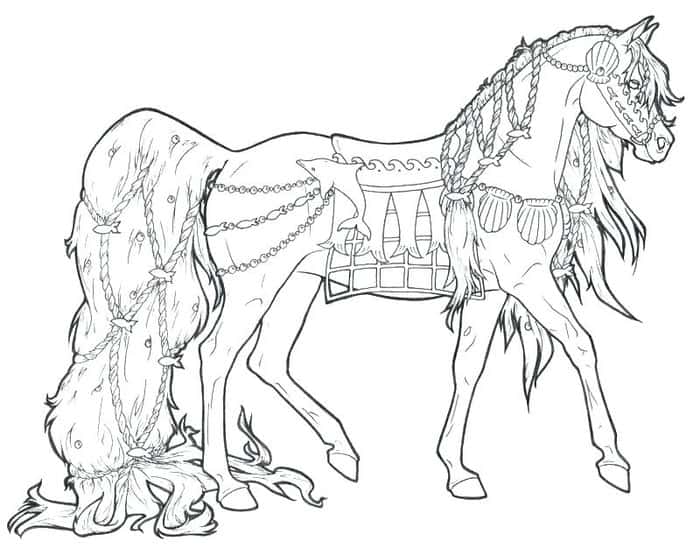 Black And White Horse Coloring Pages