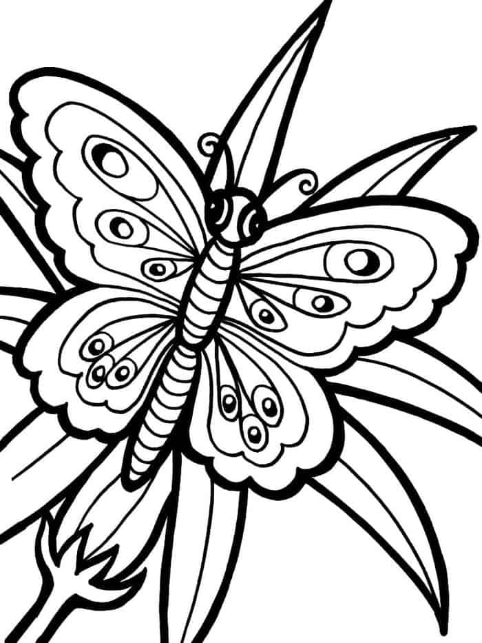 Butterfly Coloring Pages For Adults