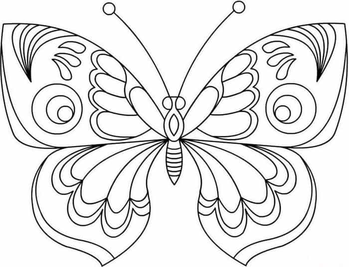 Detailed Butterfly Coloring Pages For Adults