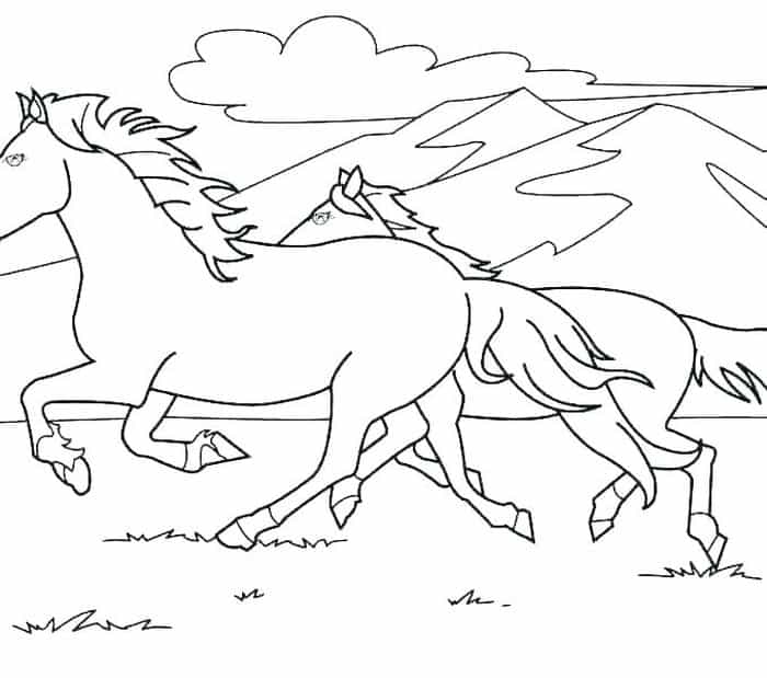 Wild Horse Coloring Pages