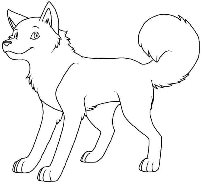 Husky Puppy Coloring Pages