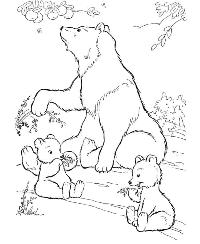 Grizzly Bear Coloring Pages