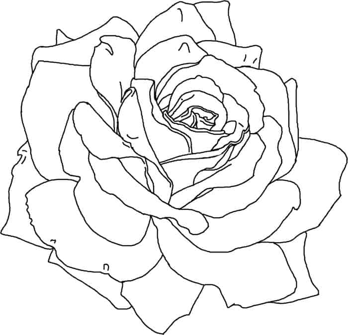 Printable Coloring Pages Of Flowers