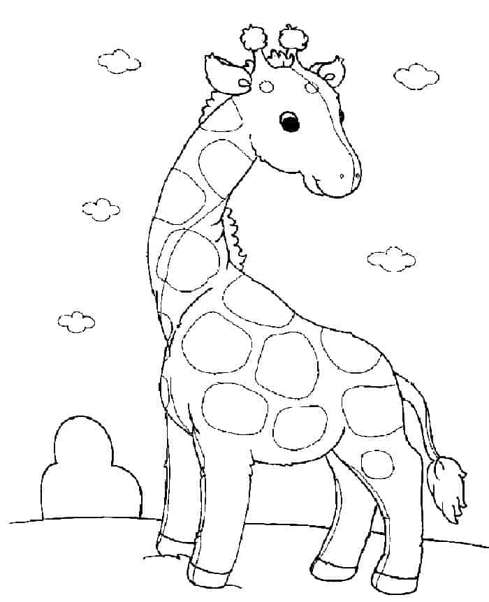 Zoo Animal Coloring Pages For Preschool