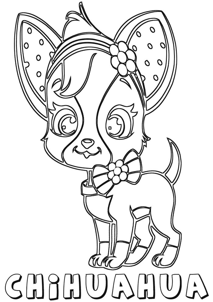 Chihuahua Puppies Coloring Pages