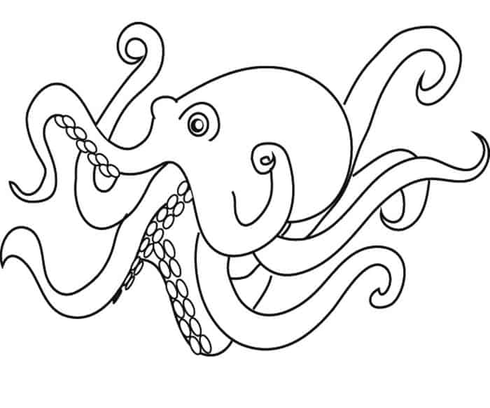 Coloring Pages Of Octopus