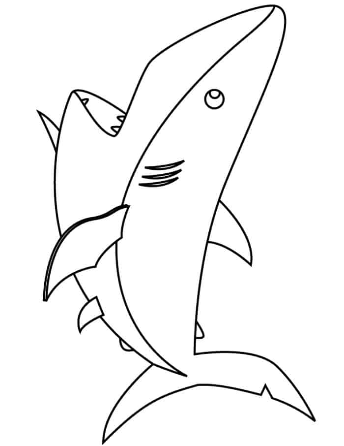 Free Printable Great White Shark Coloring Pages