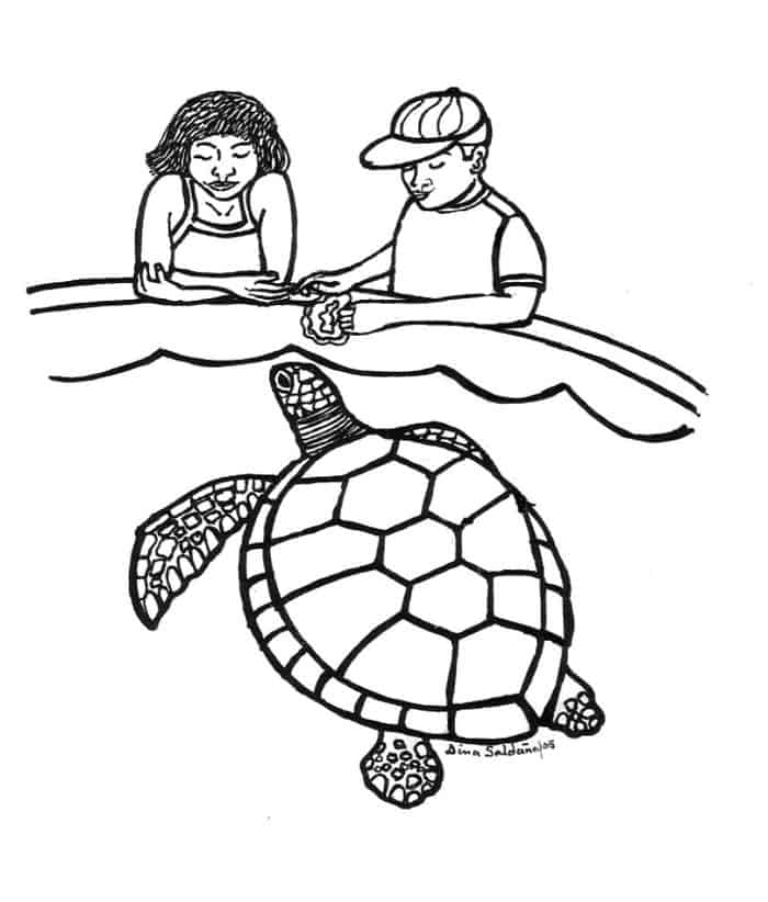 Free Printable Sea Turtle Coloring Pages