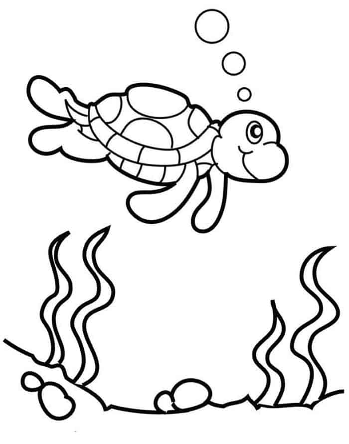 Sea Turtle Coloring Pages For Kids