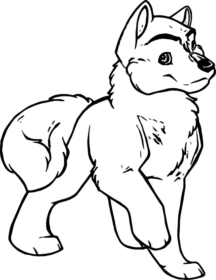 Coloring Pages Husky Puppy