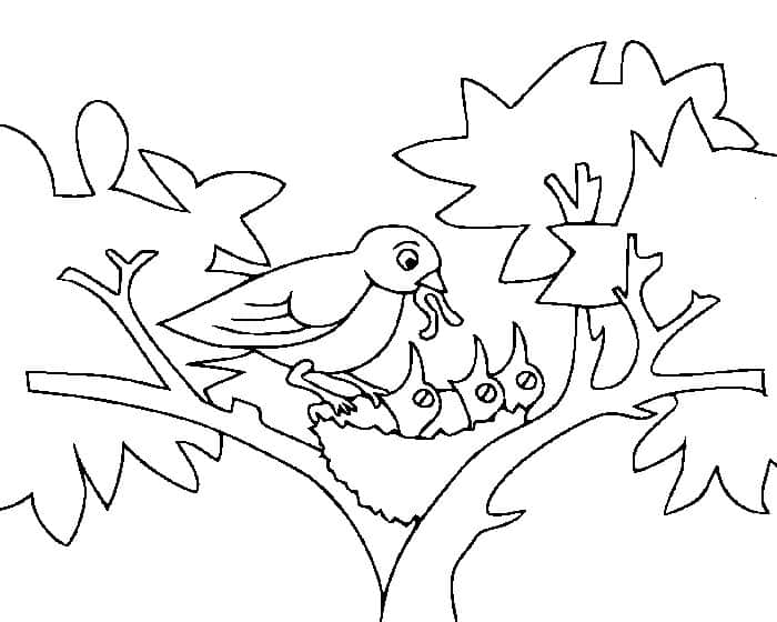 Parrot Nest Coloring Pages