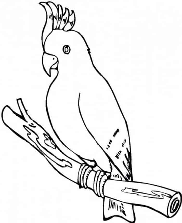 Parrot Printable Coloring Pages